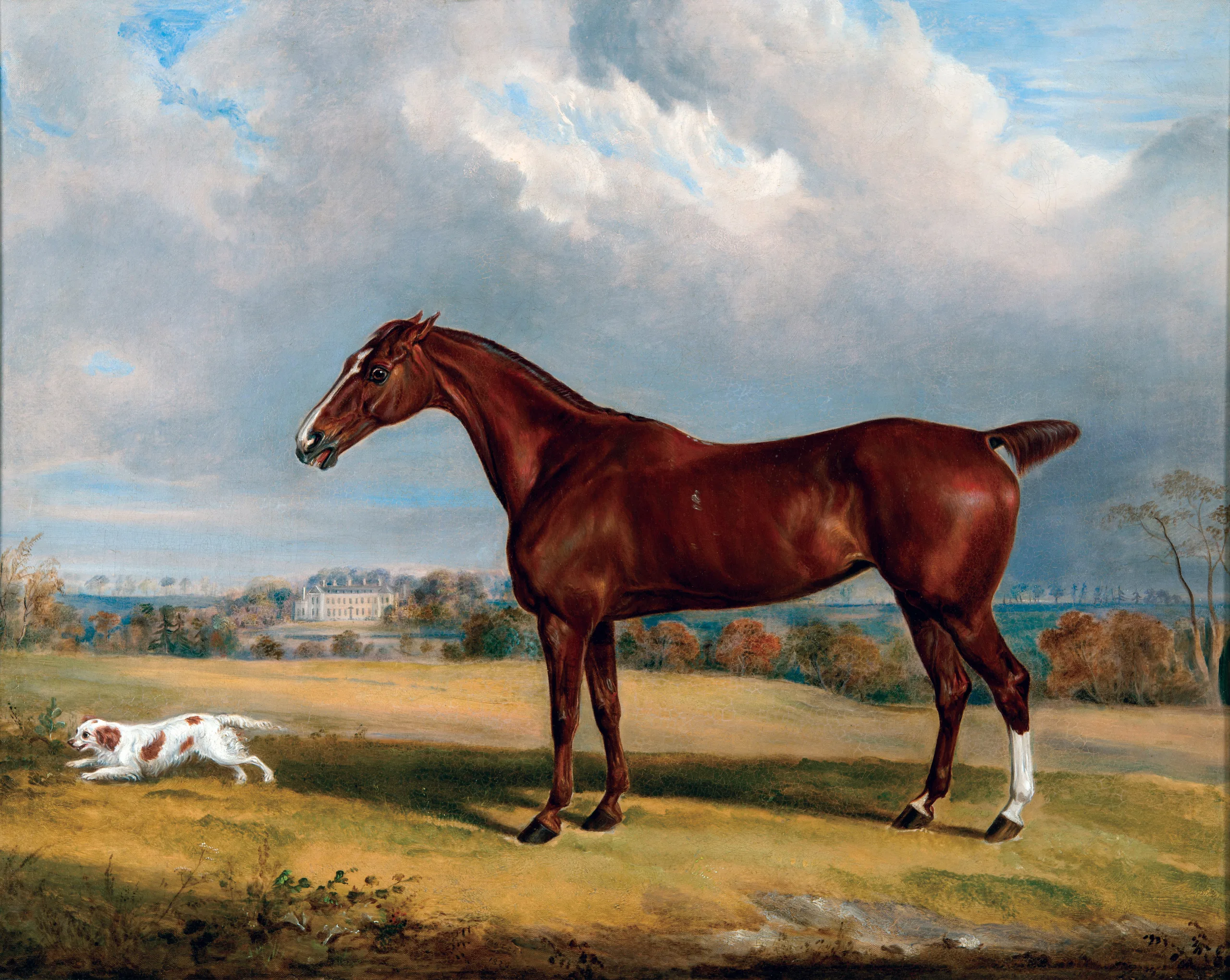 William Webb - Image 2